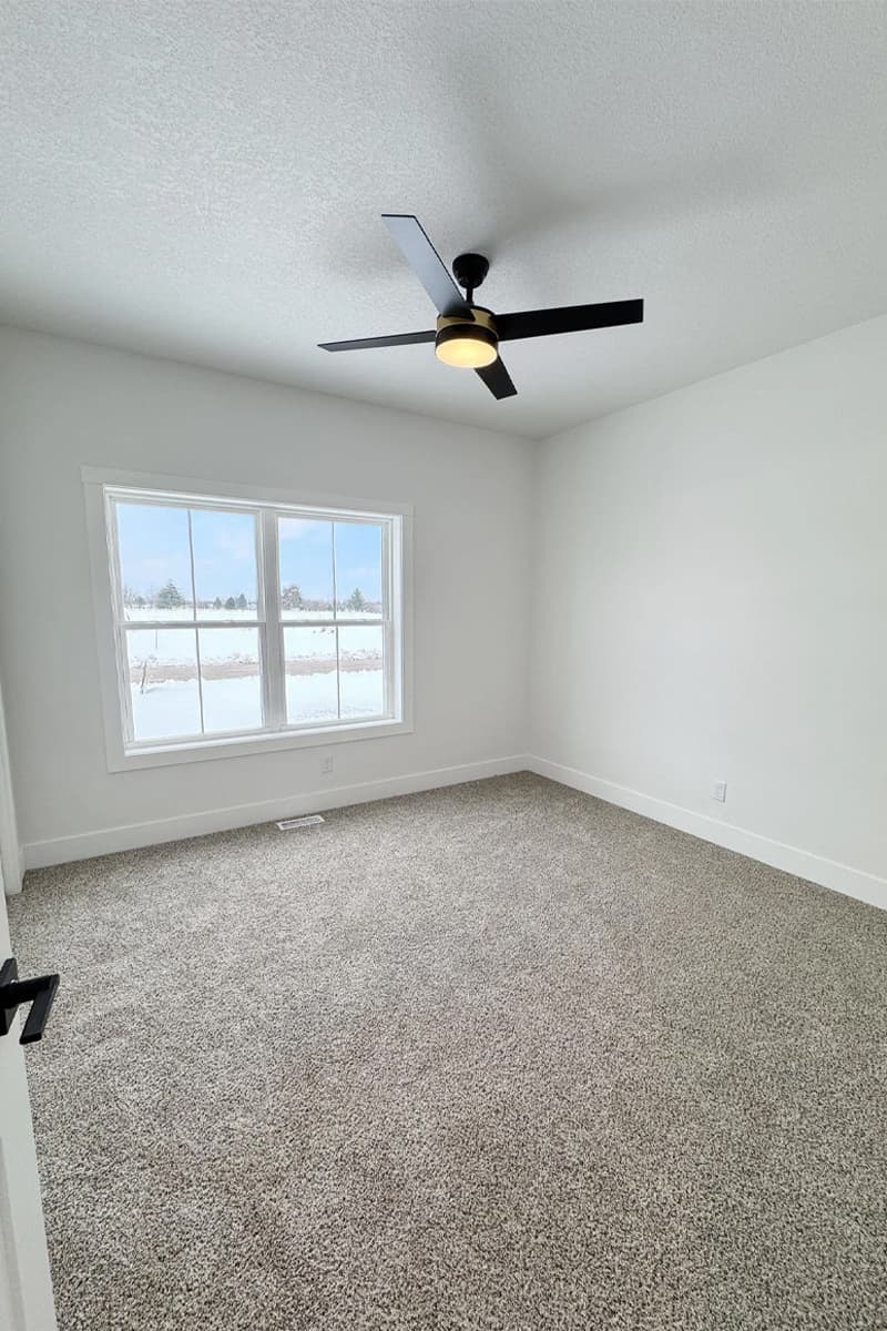 Room with carpet, ceiling fan and house plant
